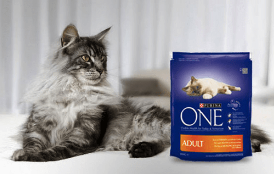 7 recensioni di cibo per gatti Purina One (richiami, pro e contro)