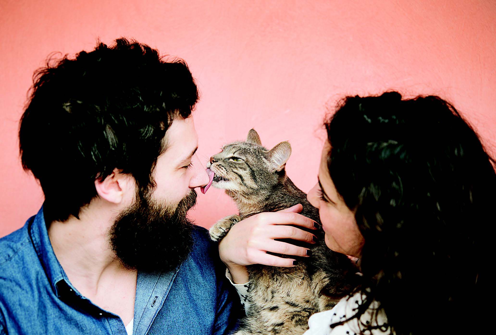 Perché i gatti leccano la loro gente?