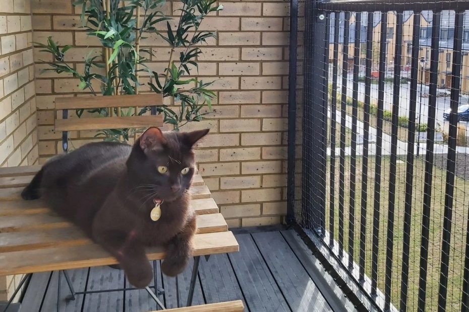 ProtectaPet Launches Innovative Cat Balcony Kit