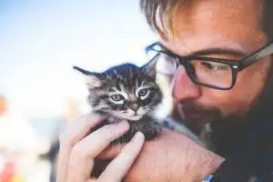 Almost a Fifth of Pet Owners are Cutting Back on Weekly Food Shop to Afford Their Pet's Care
