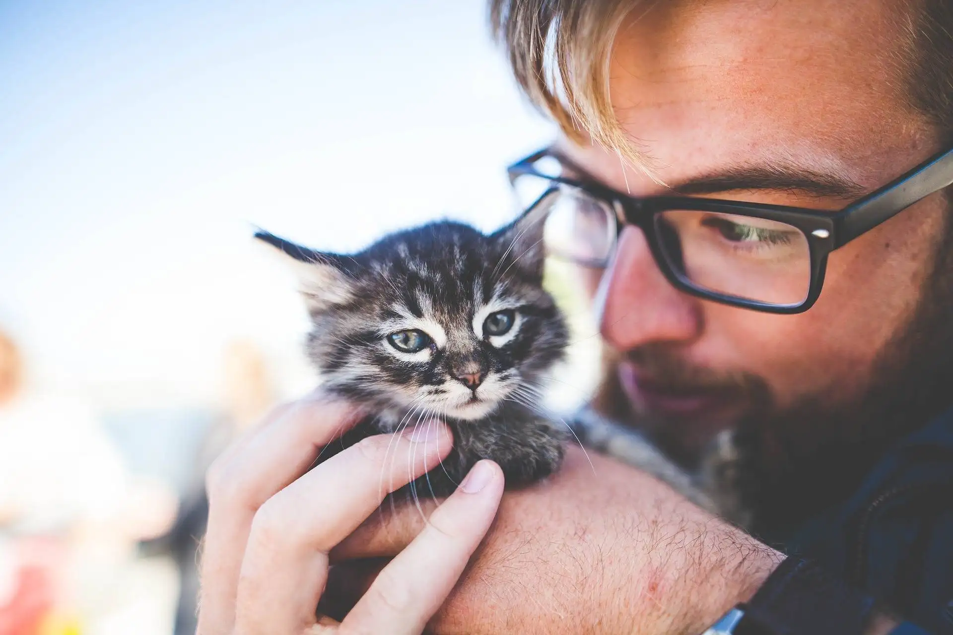Almost a Fifth of Pet Owners are Cutting Back on Weekly Food Shop to Afford Their Pet's Care