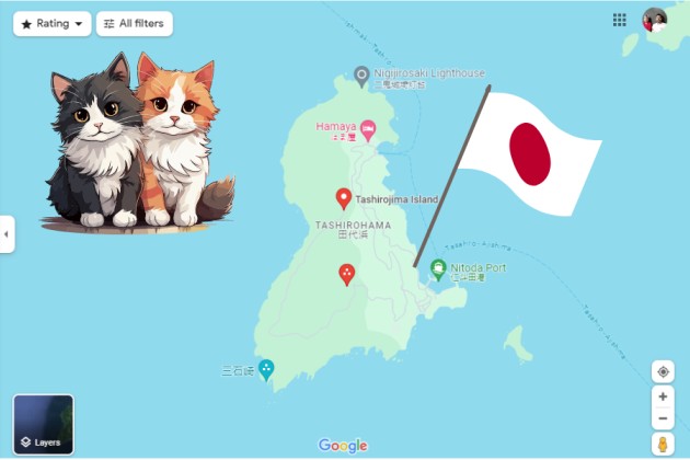 Google map: tashirojima cat island