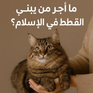 أجر ما يطببنا القطط في الإسلام